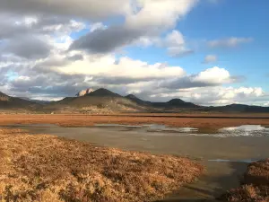 Morro Bay State Park Campground