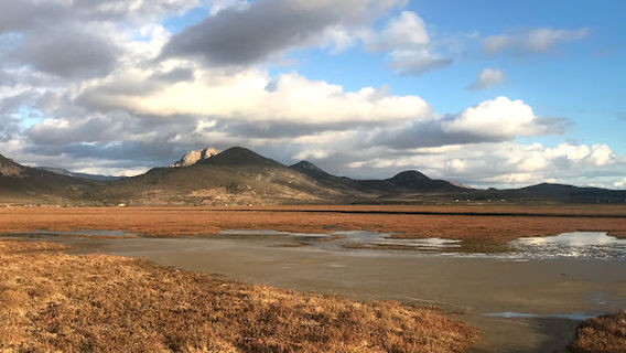 Morro Bay State Park Campground