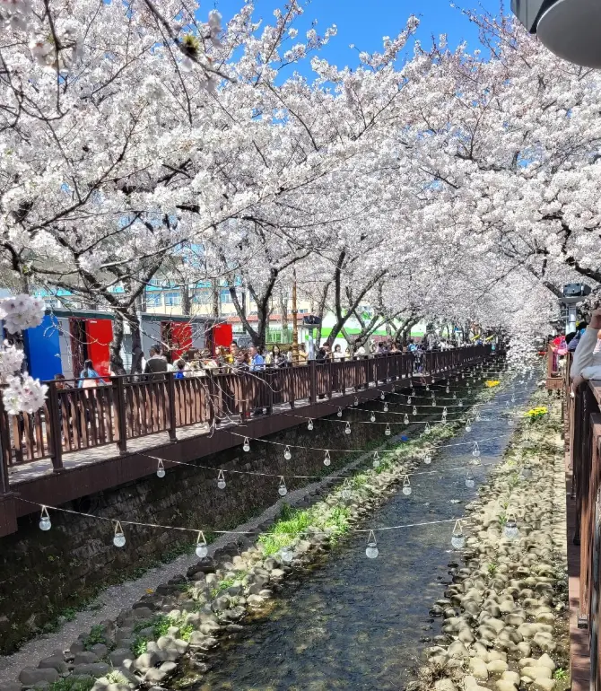 Changwon-si