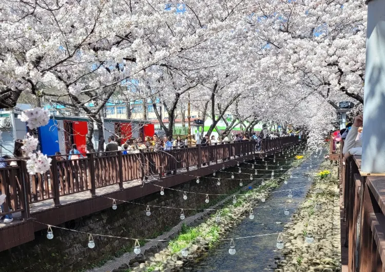 창원 날씨, 창원 기온 가이드, 여행하기 가장 좋은 계절, 기온별 옷차림