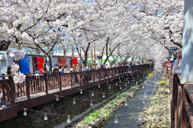 유명한 지역축제