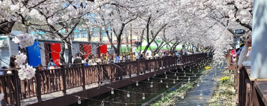 Changwon