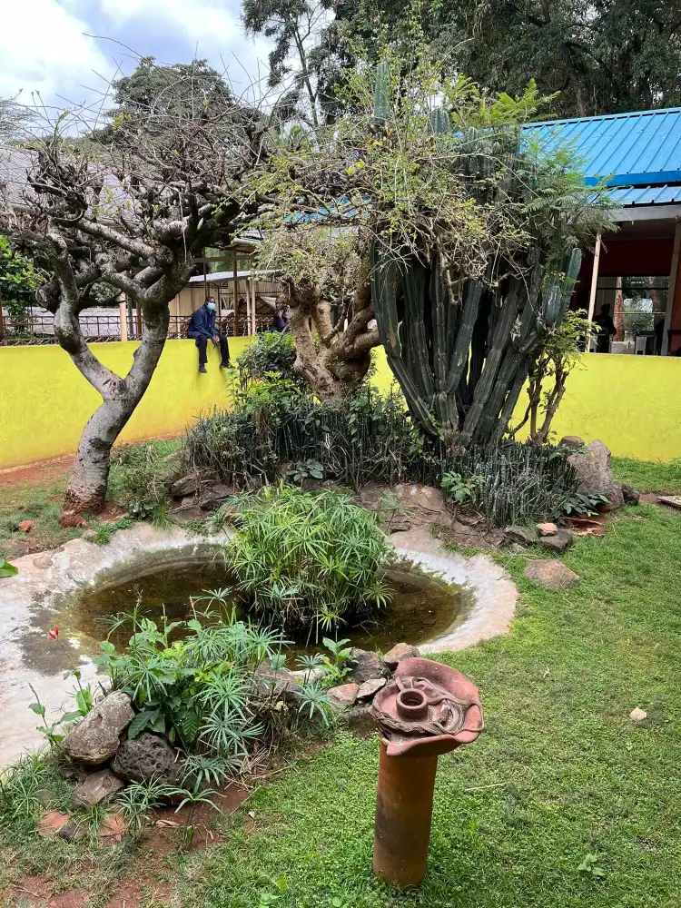 Hotels near Snake Park