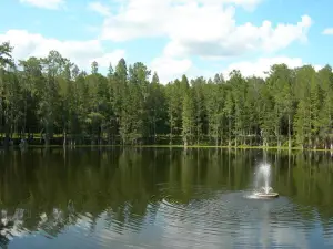 Spirit of the Suwannee Music Park & Campground