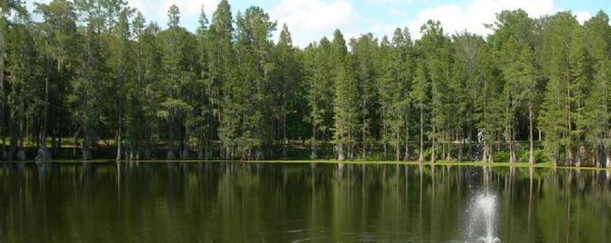 Spirit of the Suwannee Music Park & Campground