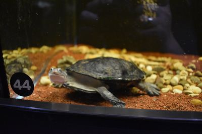 Reptilienzoo Allgaeu