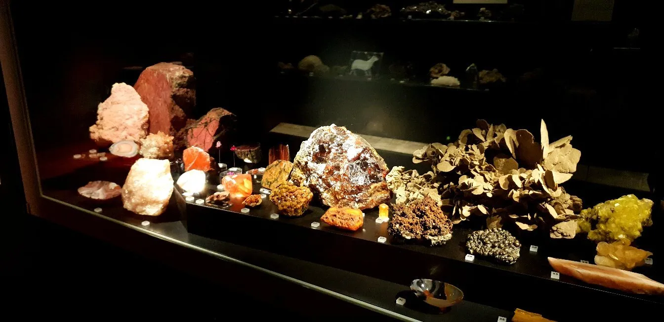 5_Great North Museum: Hancock