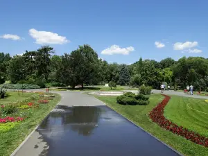 Botanic Park
