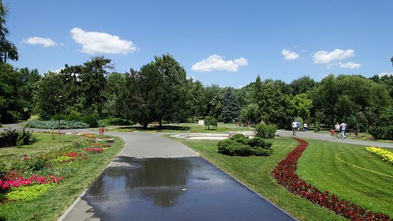 Timisoara