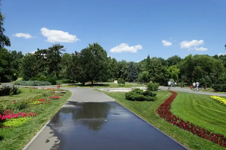 Hotels near Botanic Park