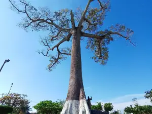 Parque de La Lupuna