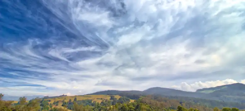 Distrito de Nilgiris