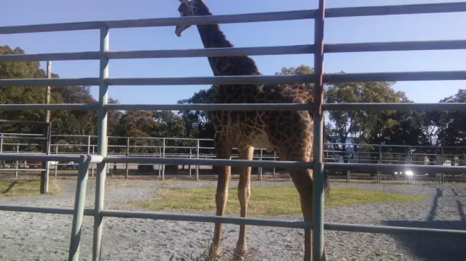 5_熊本市動植物園