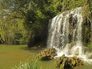 Moli Del Murri