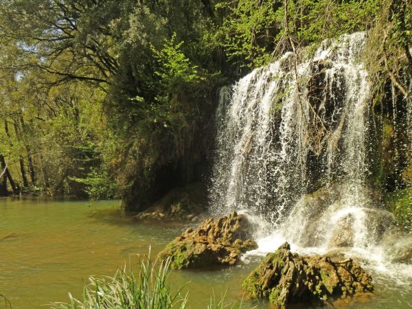 Moli Del Murri