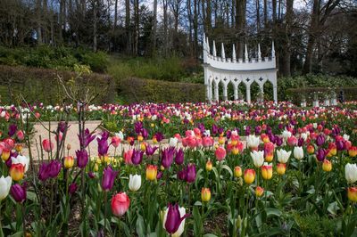 Painswick Rococo Garden