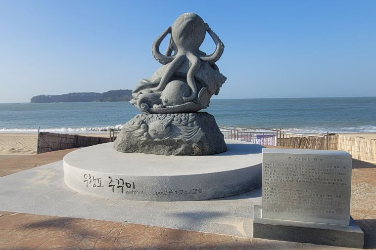 보령 머드축제 여행코스