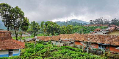 Kebun teh RANCABALI