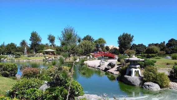Japanese Garden La Serena