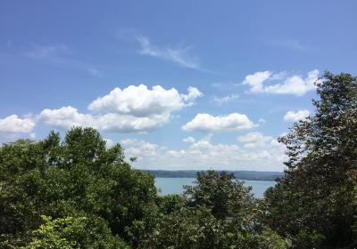Barro Colorado Island