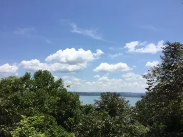 Barro Colorado Island