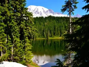 Paradise