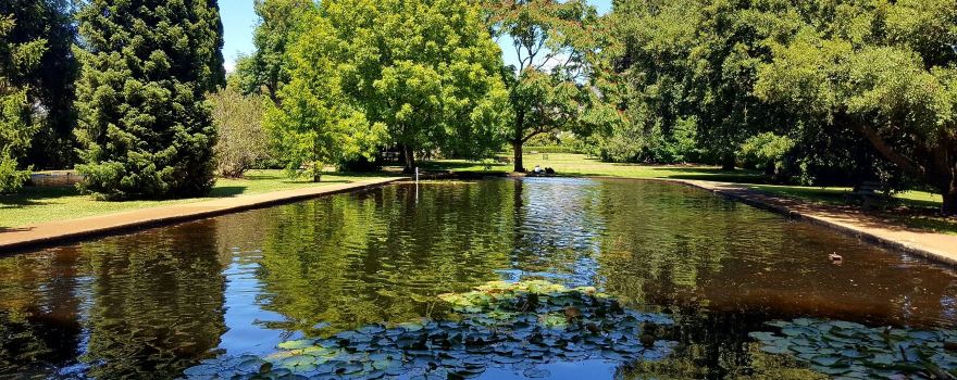Salmon Ponds Heritage Hatchery and Gardens