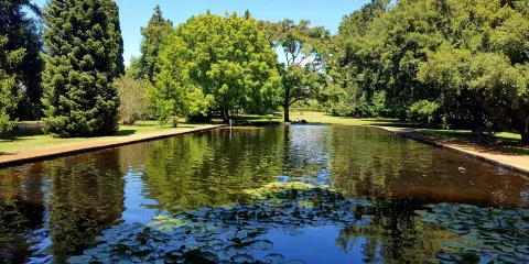 Salmon Ponds Heritage Hatchery and Gardens