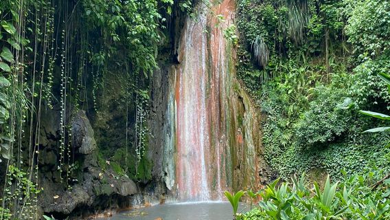 Даймонд Фолс Ботаникал Гарденс & Минерал Батс