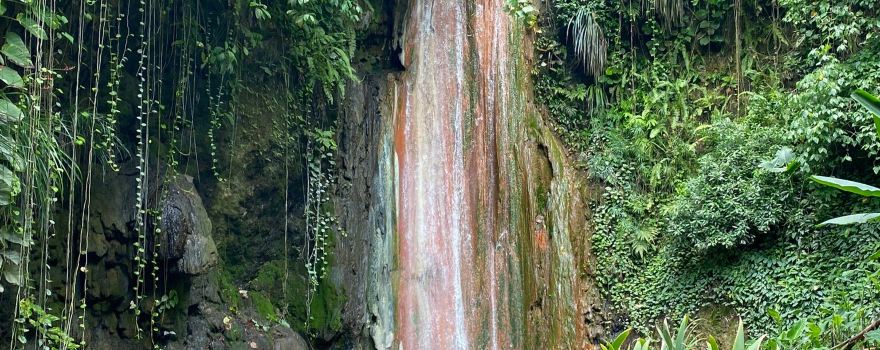 Diamond Falls Botanical Gardens & Mineral Baths