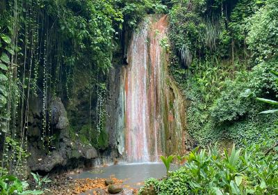 Diamond Falls Botanical Gardens & Mineral Baths