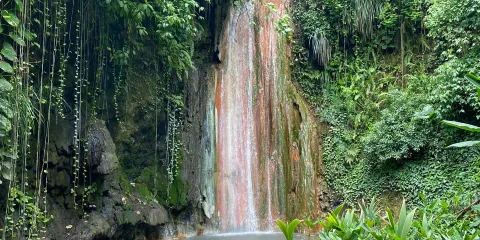 Diamond Falls Botanical Gardens