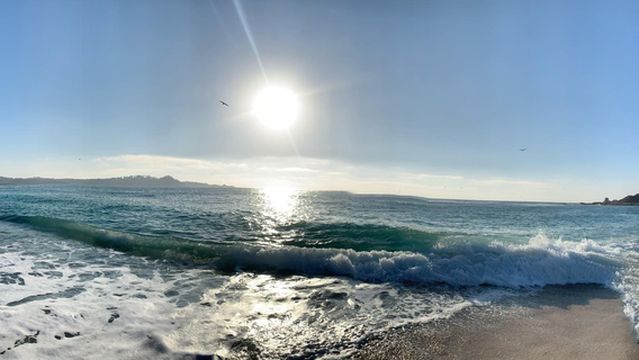 Carmel River State Beach