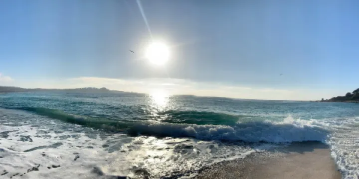 卡梅爾城市海灘