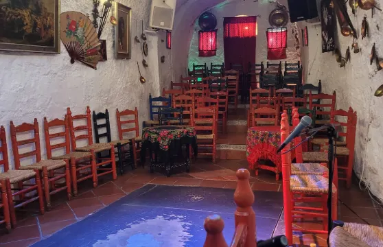 Cuevas Los Tarantos門票＋飲品成人