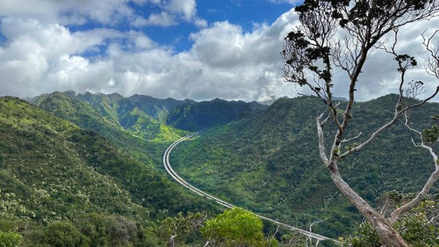 ʻAiea Loop Trailhead