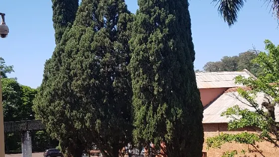 Museu do Cafe (Fazenda Lageado)