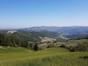 Vulcano Monte Busca