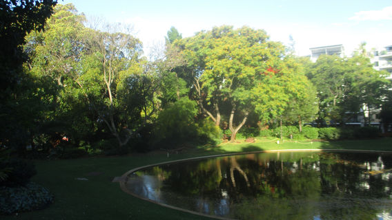 Harold Boas Gardens