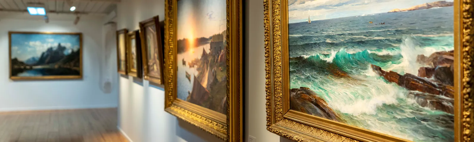 HenningsvaerTur Satu Hari