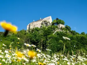 Burg Altpernstein