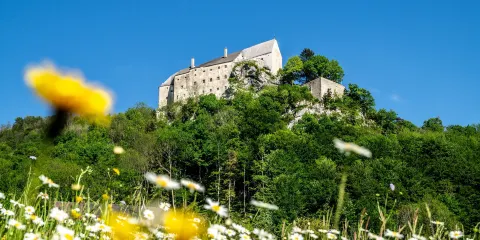 Burg Altpernstein