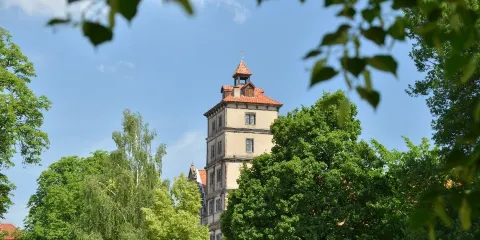 Schloss Brake