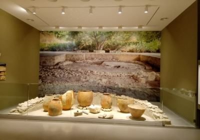 Paphos District Museum