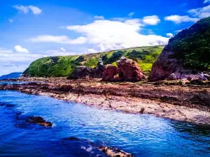 Cove Harbour
