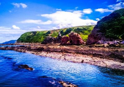 Cove Harbour