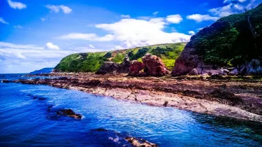 Cove Harbour
