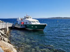 The Green Boats