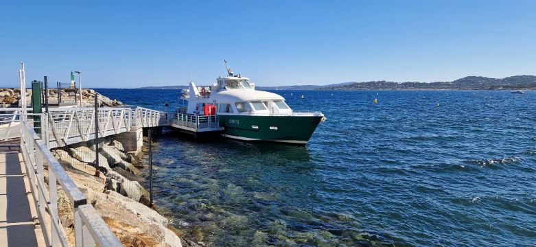 The Green Boats