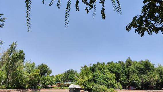 parco zoologico di Tachkent